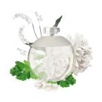 Cacharel Noa Eau de Toilette 100ml Spray