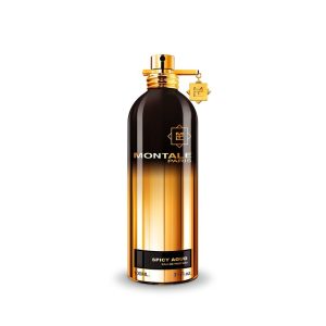 Montale Aoud Lagoon Eau de Parfum 100ml Spray